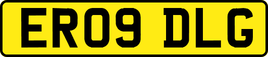 ER09DLG