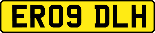 ER09DLH