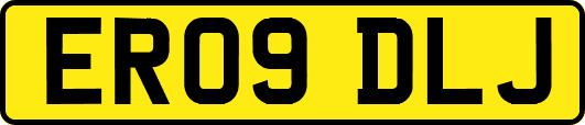 ER09DLJ