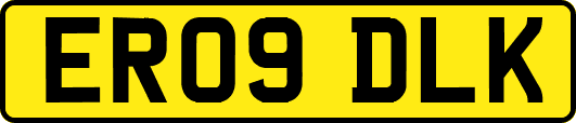 ER09DLK