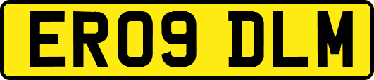 ER09DLM