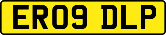 ER09DLP