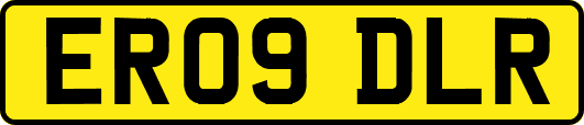 ER09DLR