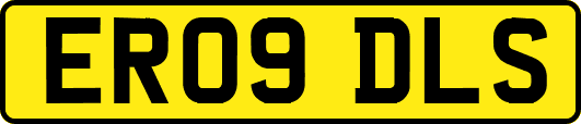 ER09DLS