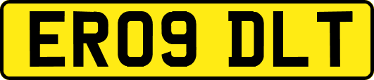 ER09DLT