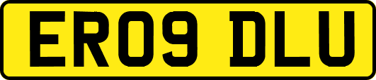 ER09DLU