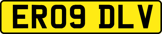 ER09DLV