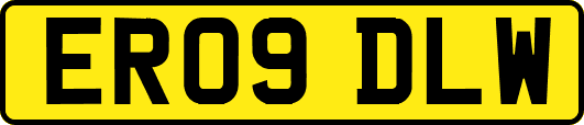 ER09DLW