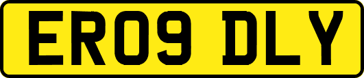 ER09DLY