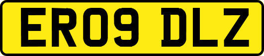 ER09DLZ