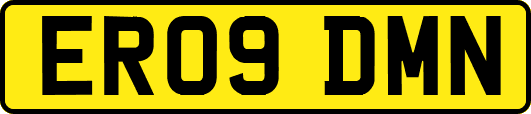 ER09DMN