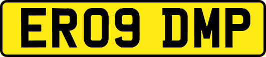 ER09DMP