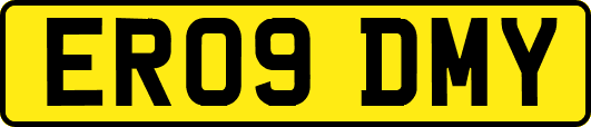 ER09DMY