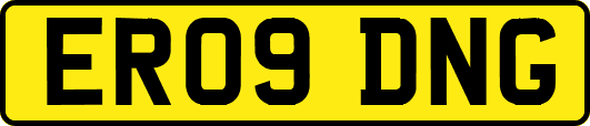 ER09DNG