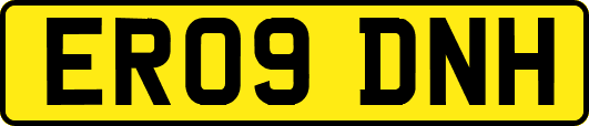 ER09DNH