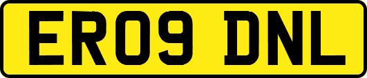 ER09DNL