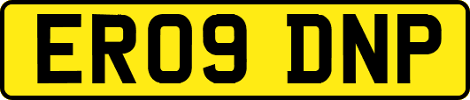 ER09DNP