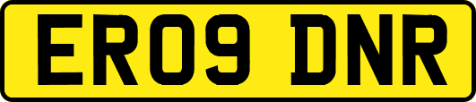 ER09DNR