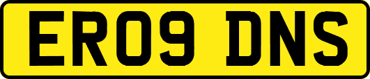 ER09DNS