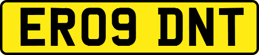ER09DNT