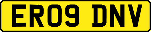 ER09DNV