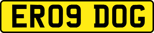 ER09DOG