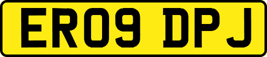 ER09DPJ