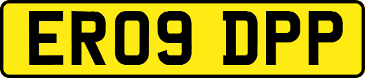 ER09DPP