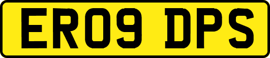 ER09DPS