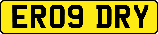 ER09DRY