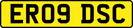 ER09DSC