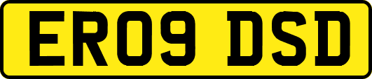 ER09DSD
