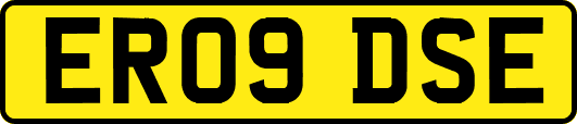 ER09DSE