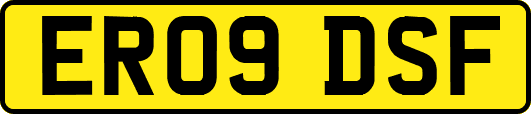 ER09DSF