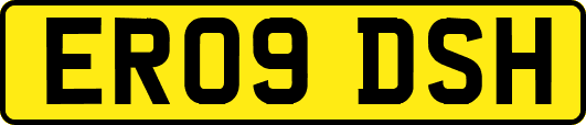 ER09DSH