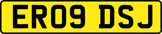 ER09DSJ