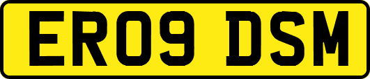 ER09DSM