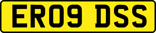 ER09DSS