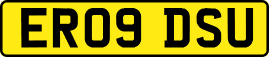 ER09DSU