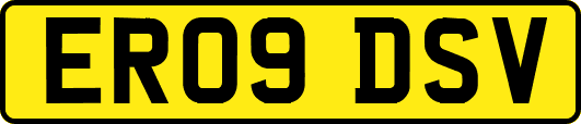 ER09DSV