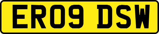 ER09DSW