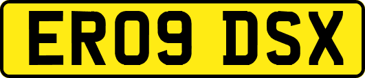 ER09DSX