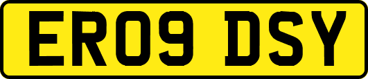 ER09DSY