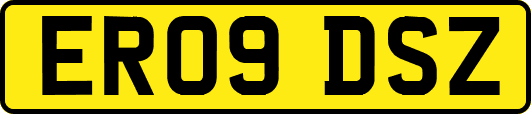 ER09DSZ