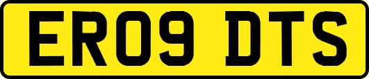 ER09DTS