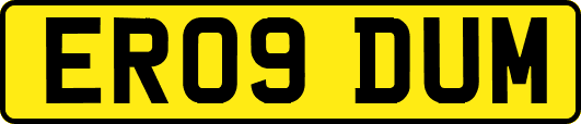 ER09DUM