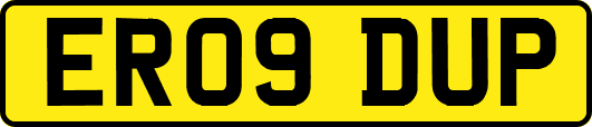 ER09DUP