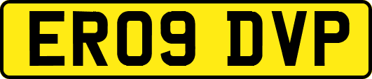 ER09DVP