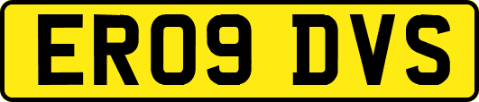 ER09DVS