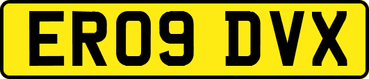 ER09DVX